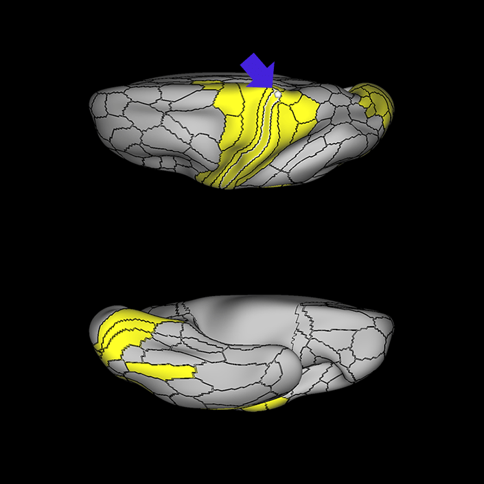 3b_c