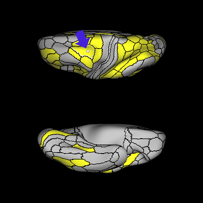 6a_c