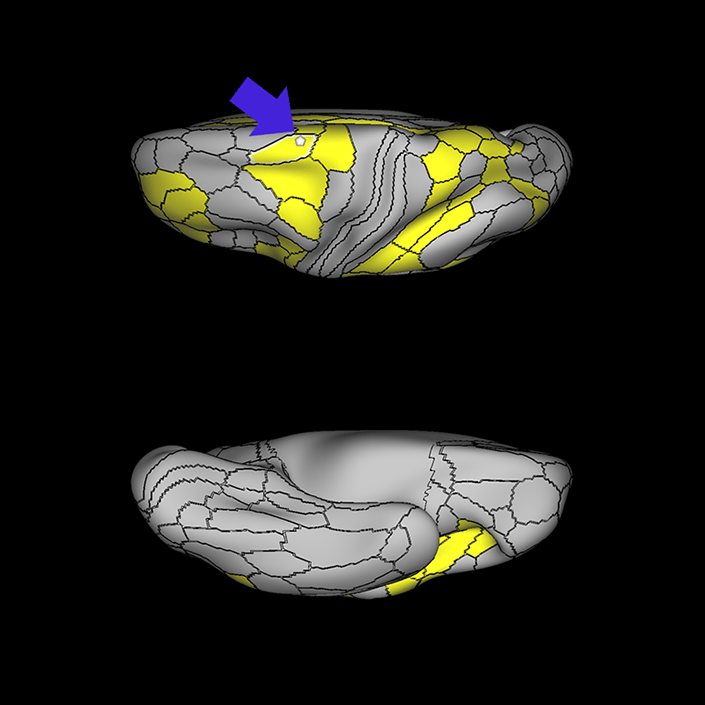6ma_c