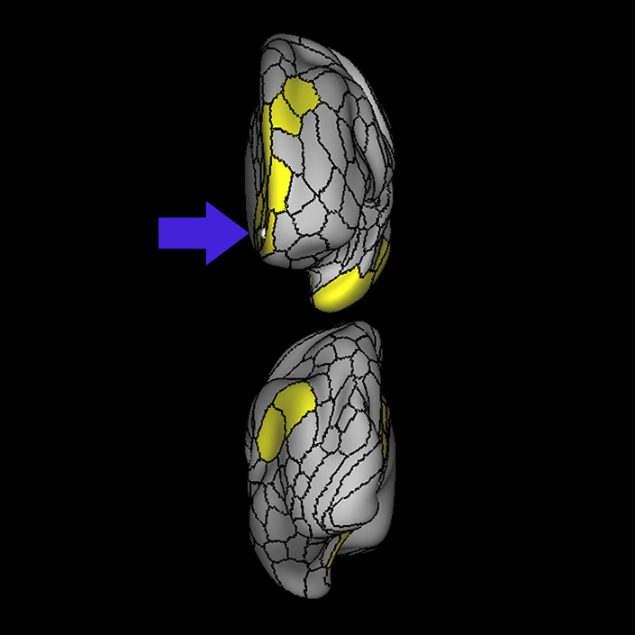 10r_b