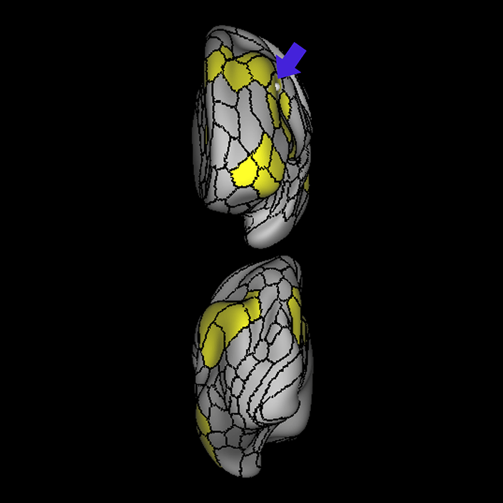 8C_b