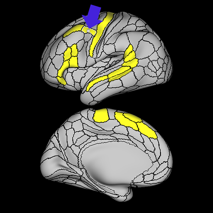 55b_a