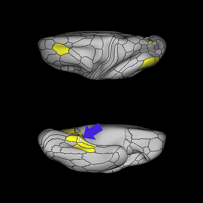PHA1_c