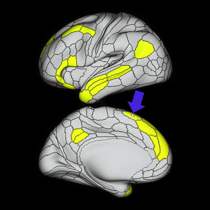SCEF_a
