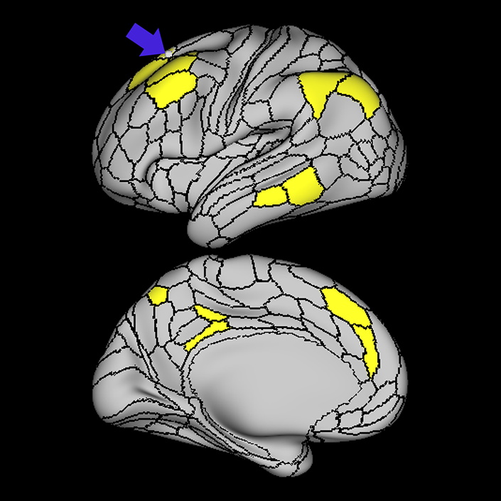 s6-8_a