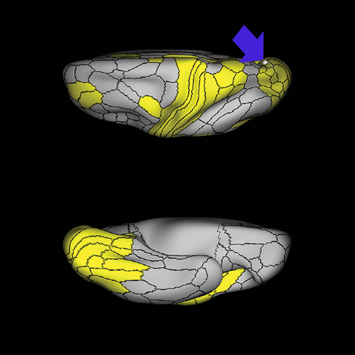 V6_c