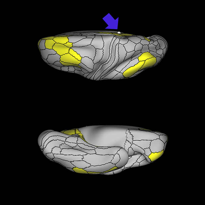 v23ab_c